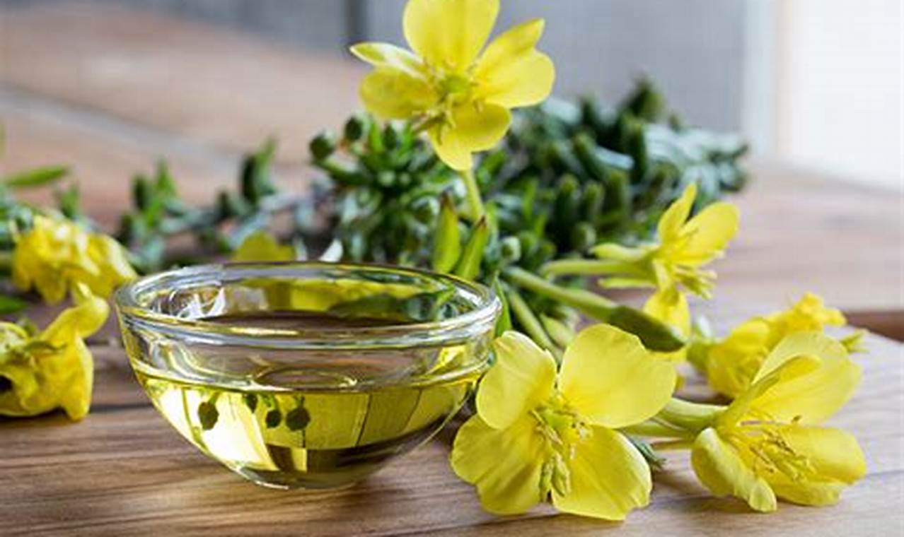 Paparan Mengejutkan Manfaat Evening Primrose Oil yang Jarang Diketahui!