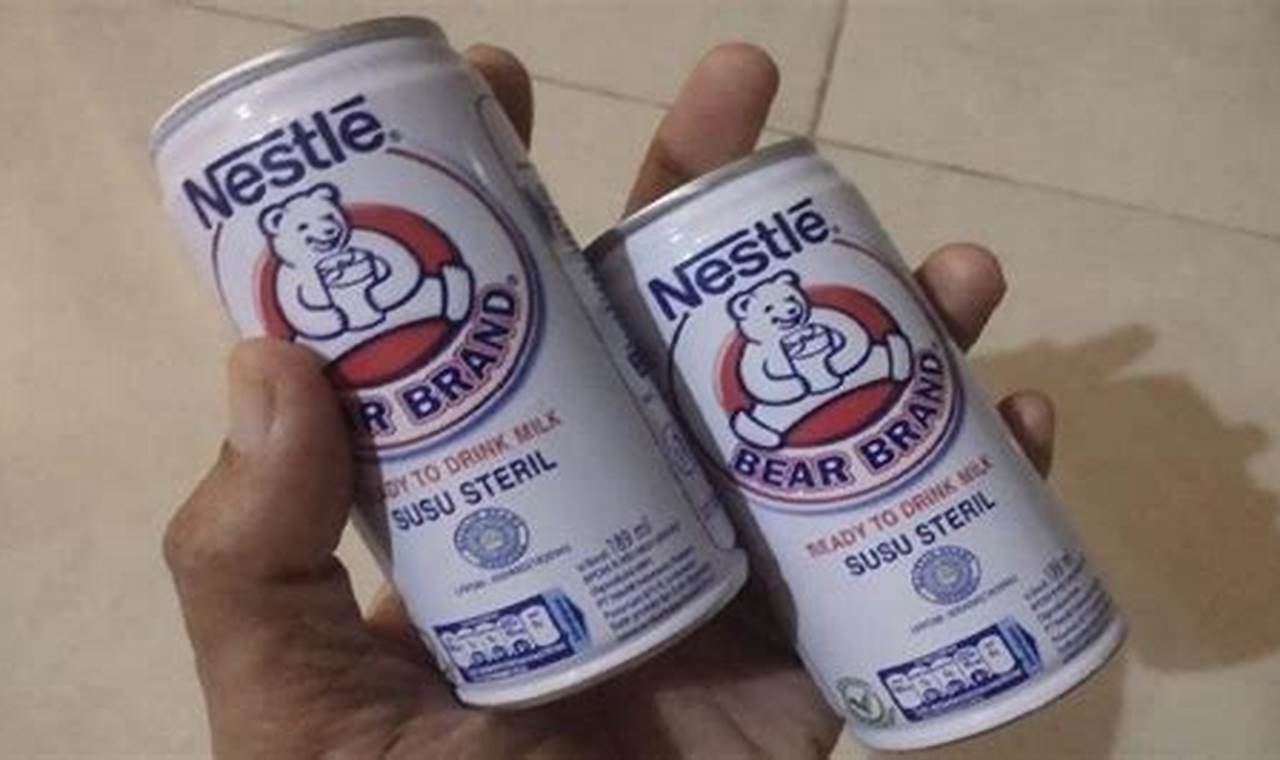 Temukan Manfaat Bear Brand dan Madu, Rahasia Sehat yang Jarang Diketahui