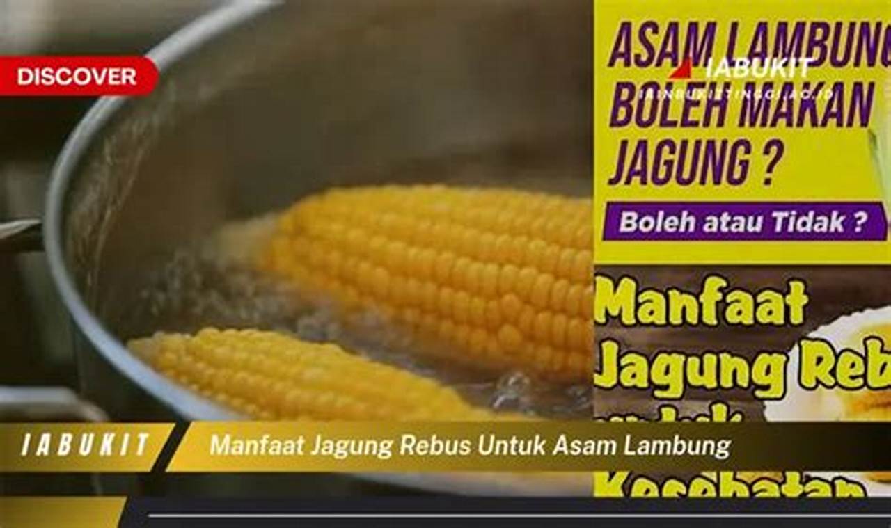 Ungkap Manfaat Jagung Rebus untuk Asam Lambung yang Menarik Diketahui