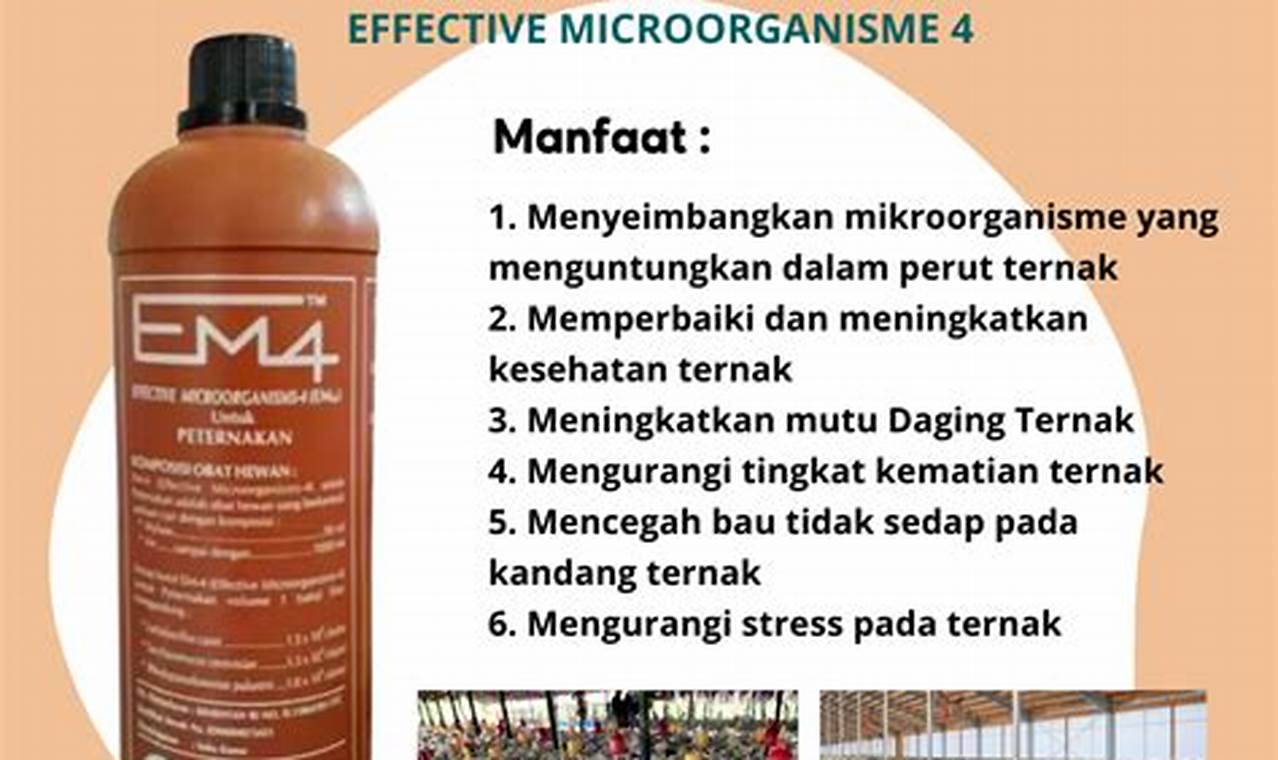 Terungkap Manfaat EM4 di Peternakan Ayam yang Tak Terduga!