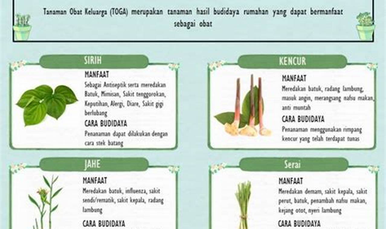 Temukan 10 Manfaat Toga yang Jarang Diketahui