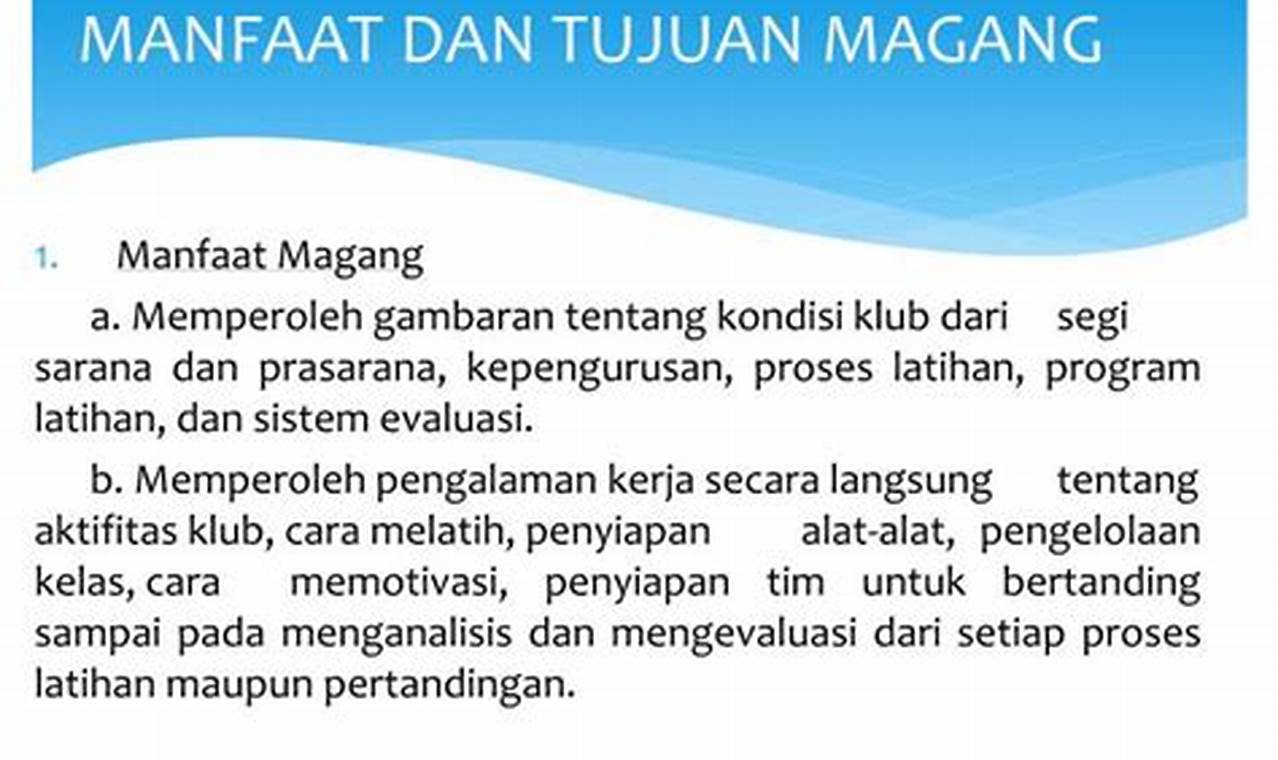 Terungkap! 7 Manfaat Magang bagi Perusahaan