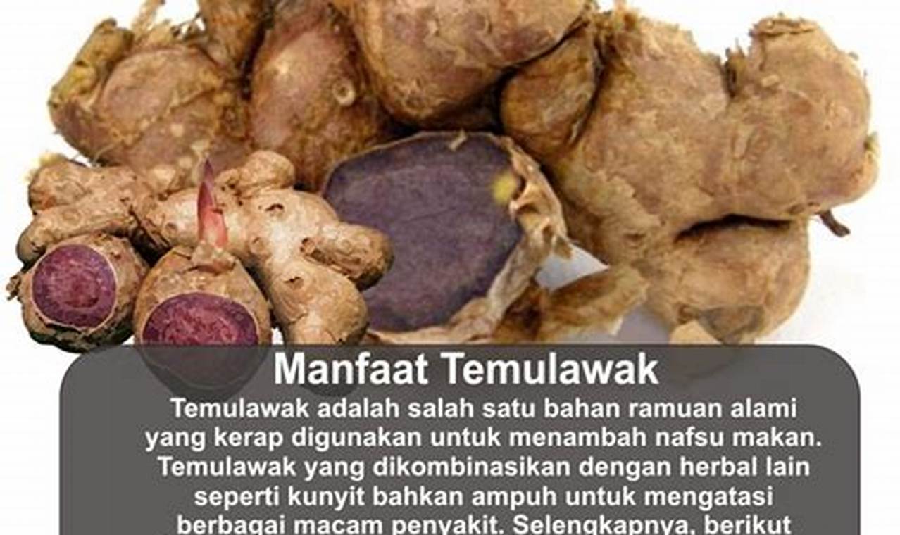 Temukan Khasiat Temulawak PDF: 10 Manfaat yang Jarang Diketahui