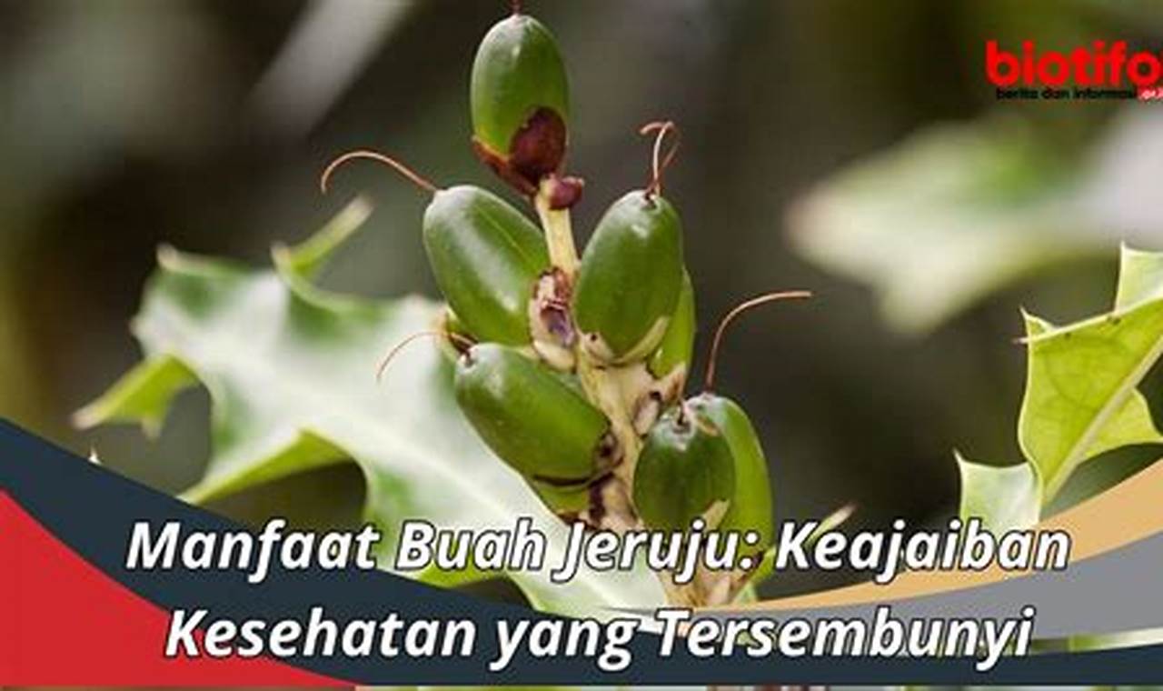 Temukan 7 Manfaat Buah Jeruju yang Jarang Diketahui untuk Kesehatan