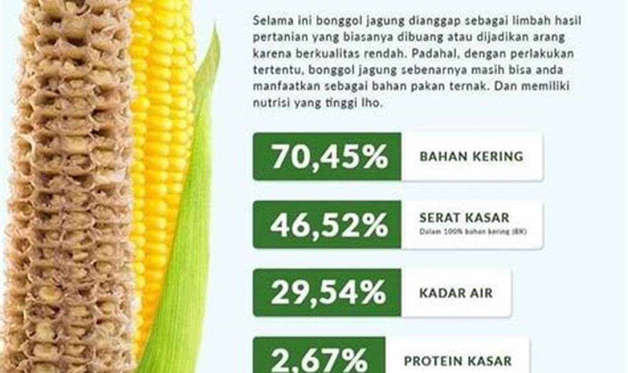 Pecahkan Rahasia Manfaat Bonggol Jagung yang Sering Dipandang Sebelah Mata!