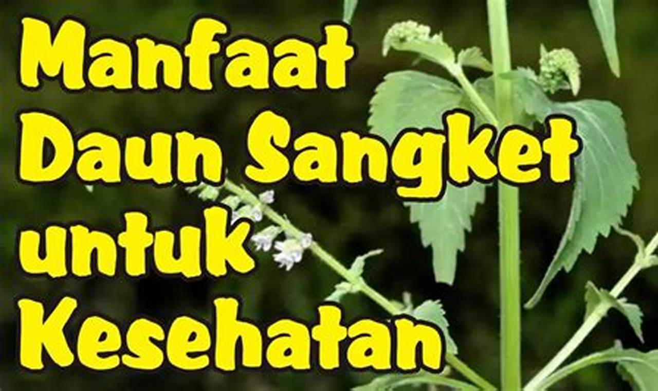 Temukan Manfaat Daun Sangket yang Jarang Diketahui