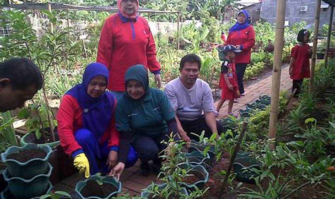 Tanaman Toga: 5 Manfaat Luar Biasa yang Jarang Diketahui!